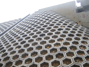 ������ģ